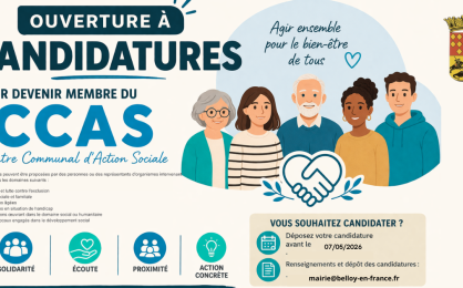 APPEL CANDIDATURE CCAS