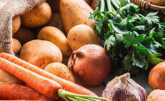 Alimentation - le bon plant reste ouvert - fruits et légumes de saision en circuit court