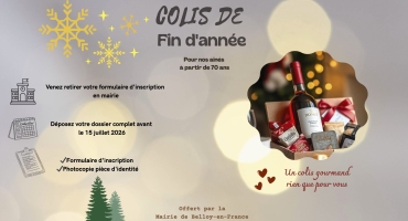 COLIS FIN ANNÉE 2026